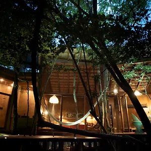 https://ojo-de-rbol-boutique-cabin-in-the-jungle-relax.allrivieramayahotels.com